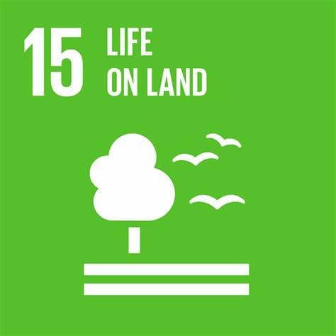 SDG 6
