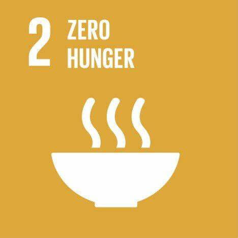 SDG 6